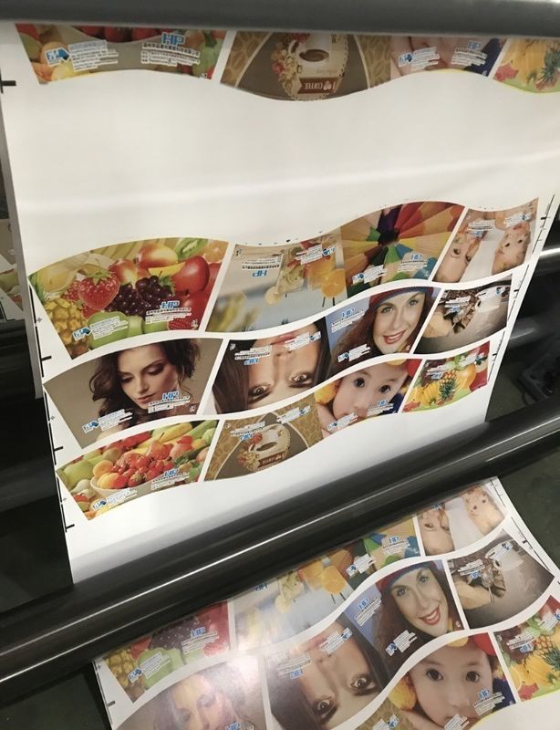 Πολυχρωματική αυτόματη εγγραφή PE κύπελλα Flexo εκτυπωτική μηχανή με εξατομικευμένο αίτημα