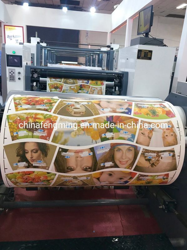 Μέγιστο πλάτος ιστού 920/1020/1220mm FM-B 920-1850 Φλεξογραφική εκτυπωτική μηχανή για χαρτόπιτα