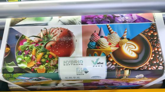 Αυτόματη υψηλής ποιότητας τυπογραφική μηχανή κυλίνδρου σε κυλίνδρου τύπου πέταλου πλήρους σέρβο μοντέλου Flexo σε γραμμή